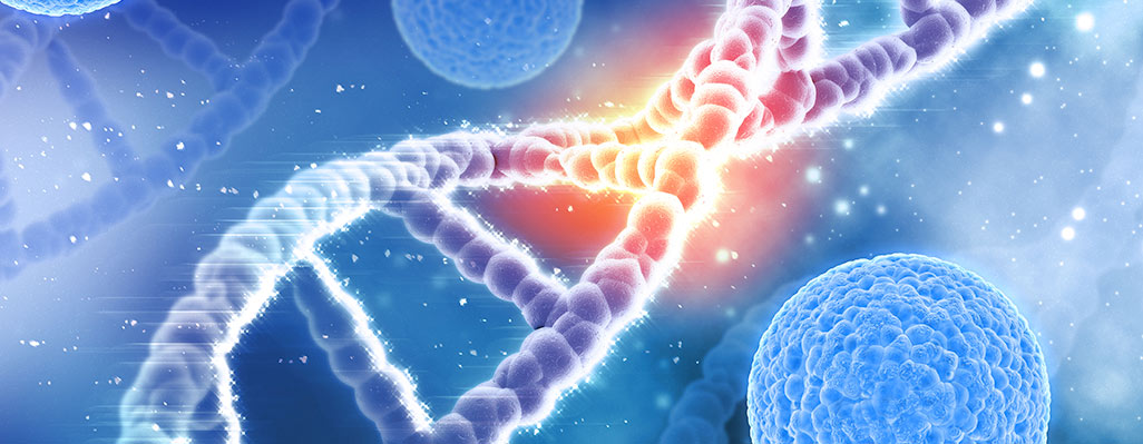 La genética y el cáncer